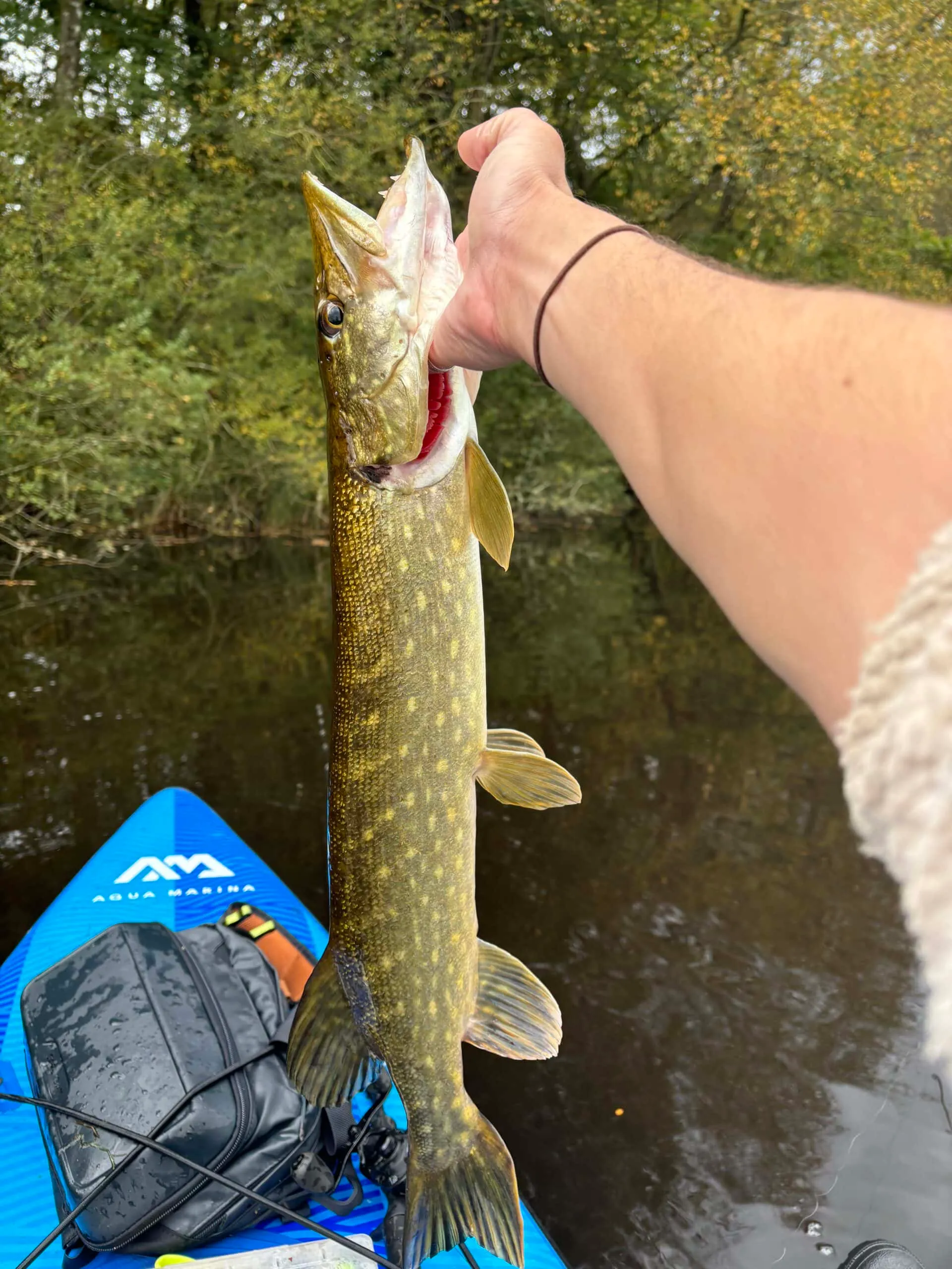 2 étangs de 12ha en déconnexion totale au coeur de la nature