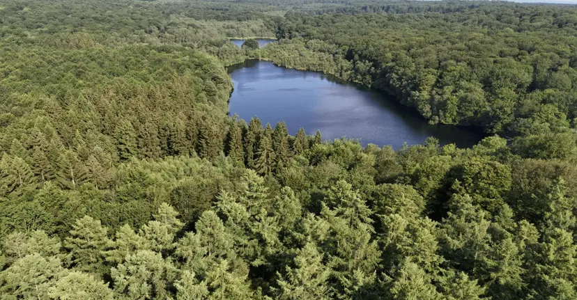 Gite de pêche, 2 étangs de 12ha en déconnexion totale au cœur de la nature