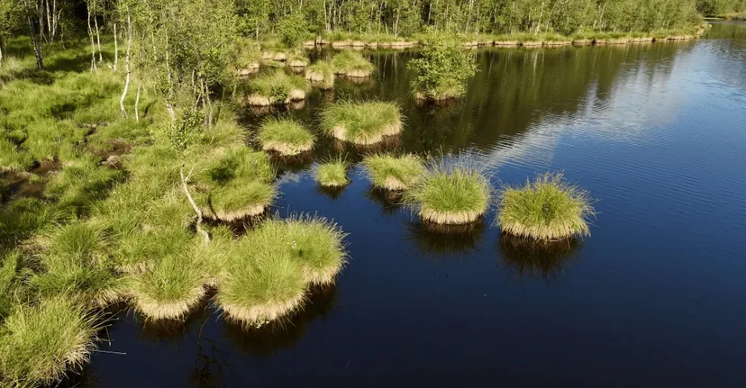 Gite de pêche, 2 étangs de 12ha en déconnexion totale au cœur de la nature