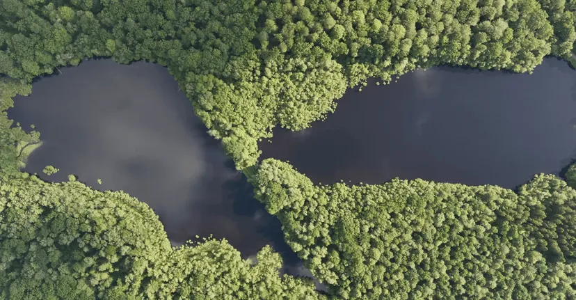 Gite de pêche, 2 étangs de 12ha en déconnexion totale au cœur de la nature