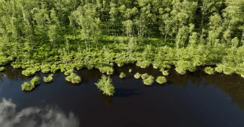 Gite de pêche, 2 étangs de 12ha en déconnexion totale au cœur de la nature