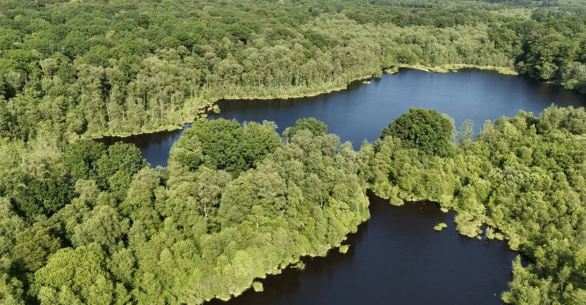 Gite de pêche, 2 étangs de 12ha en déconnexion totale au cœur de la nature