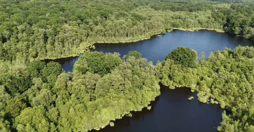 Gite de pêche, 2 étangs de 12ha en déconnexion totale au cœur de la nature