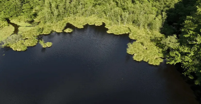 Gite de pêche, 2 étangs de 12ha en déconnexion totale au cœur de la nature