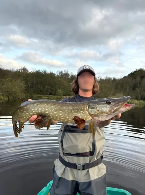 Gite de pêche, 2 étangs de 12ha en déconnexion totale au cœur de la nature