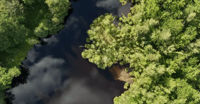 Gite de pêche, 2 étangs de 12ha en déconnexion totale au cœur de la nature