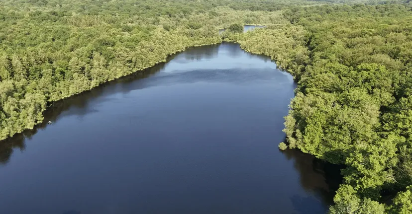 Gite de pêche, 2 étangs de 12ha en déconnexion totale au cœur de la nature