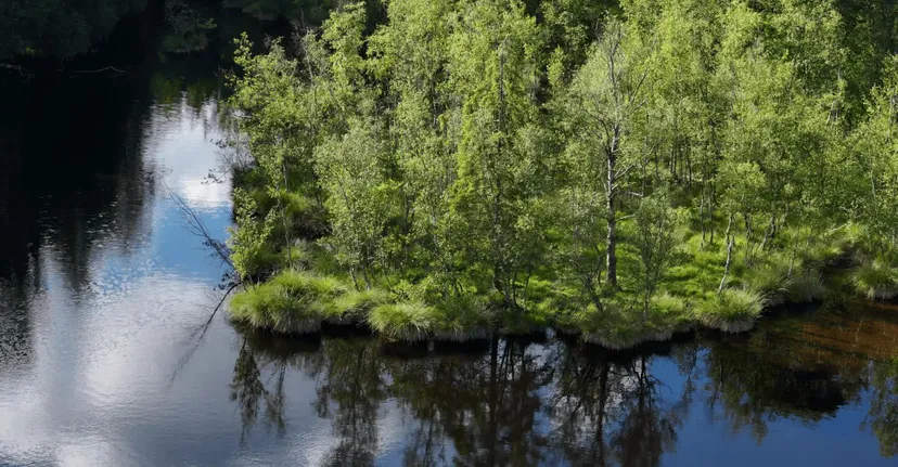Gite de pêche, 2 étangs de 12ha en déconnexion totale au cœur de la nature