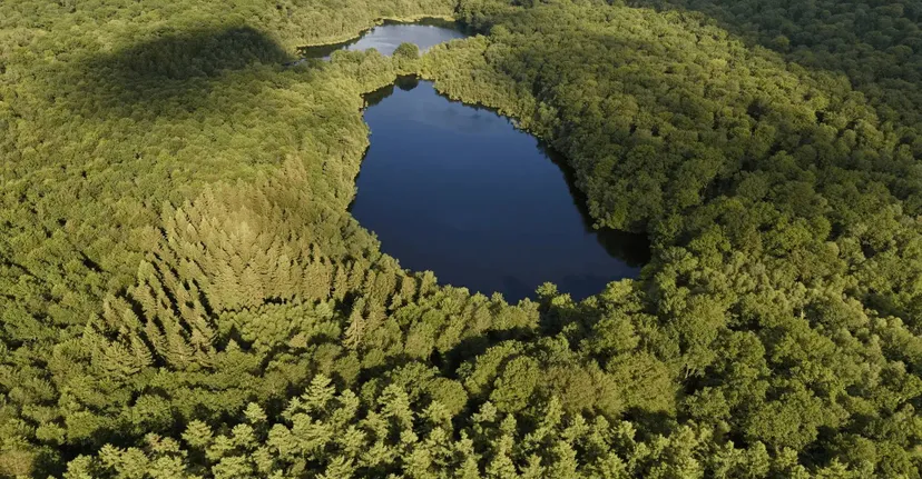 Gite de pêche, 2 étangs de 12ha en déconnexion totale au cœur de la nature