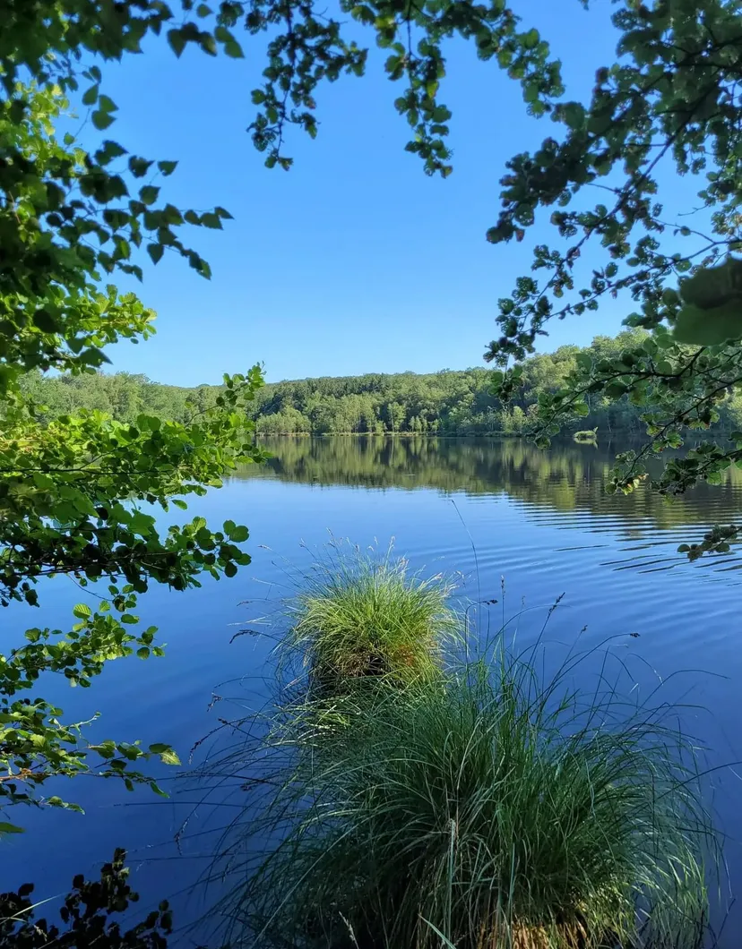 Gite de pêche, 2 étangs de 12ha en déconnexion totale au cœur de la nature