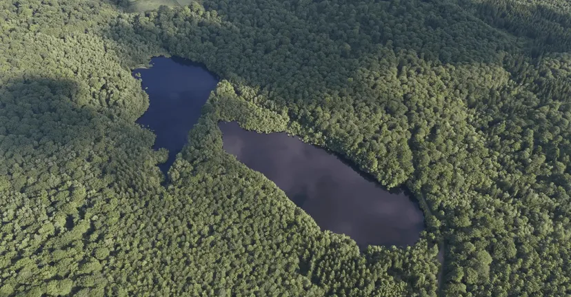 Gite de pêche, 2 étangs de 12ha en déconnexion totale au cœur de la nature