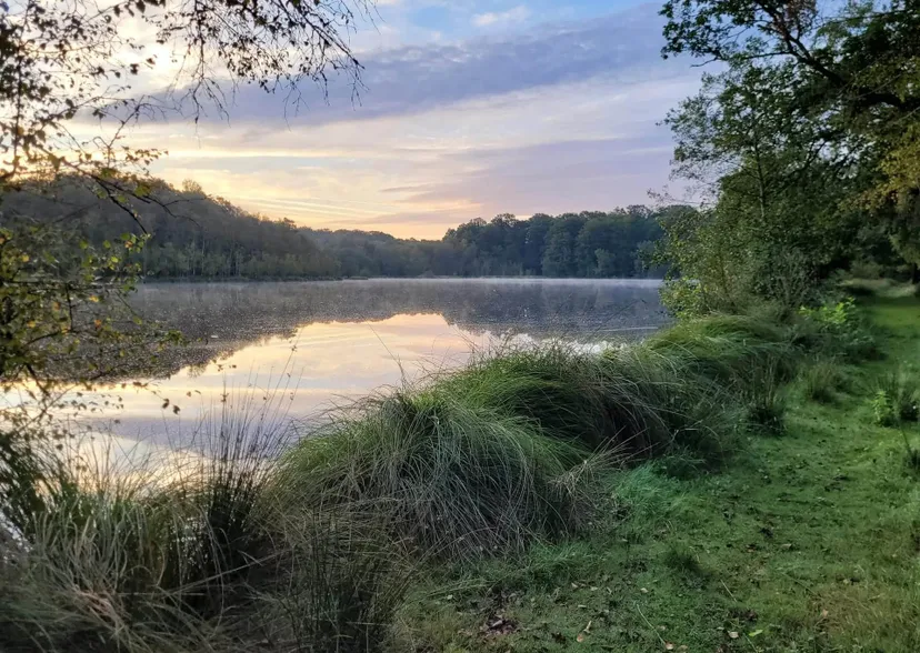 Gite de pêche, 2 étangs de 12ha en déconnexion totale au cœur de la nature