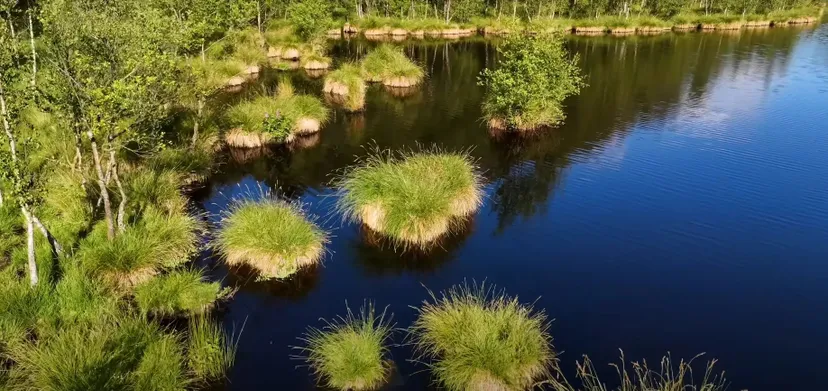 Gite de pêche, 2 étangs de 12ha en déconnexion totale au cœur de la nature
