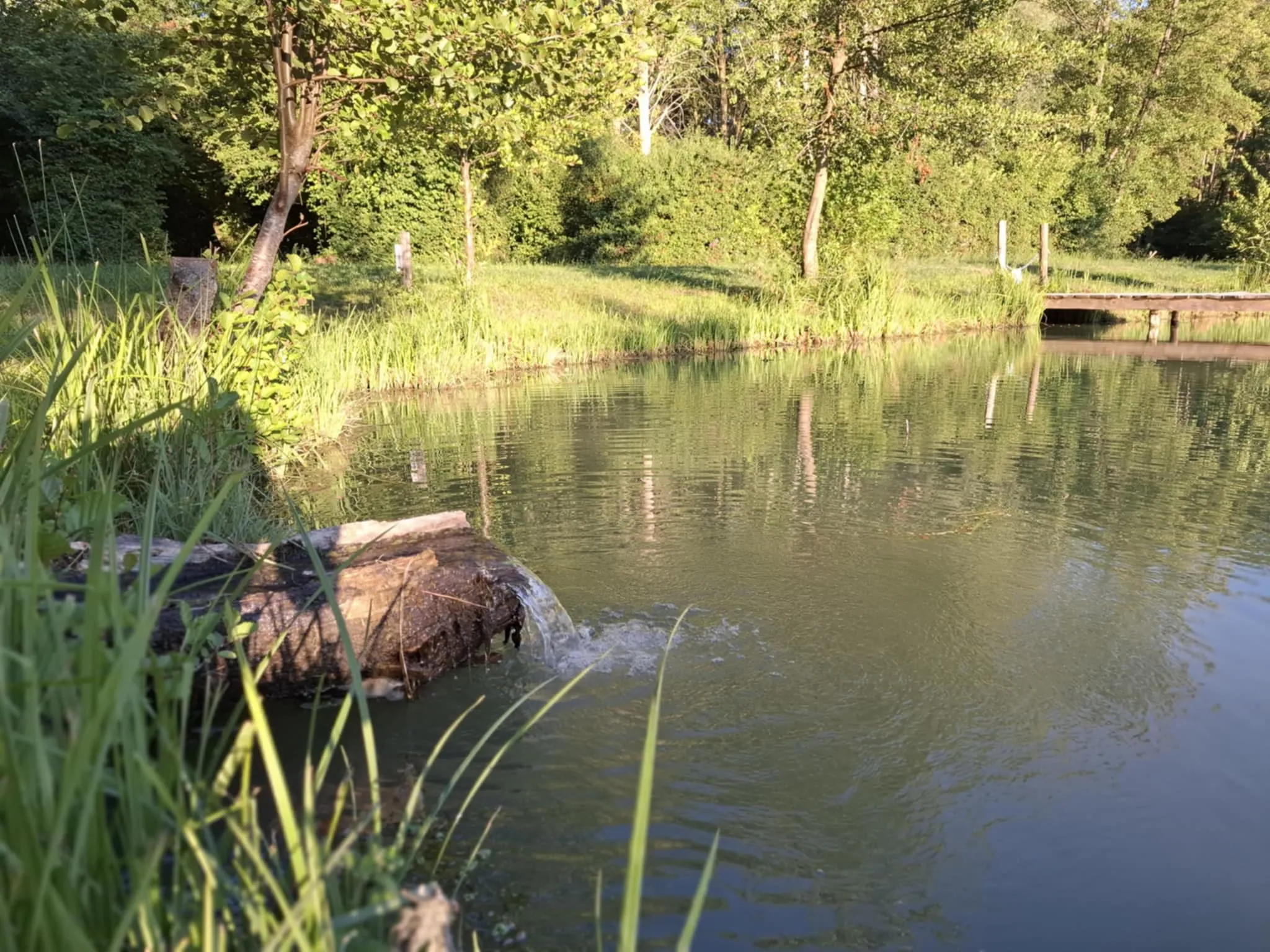 Chalet au bord d'un étang privé