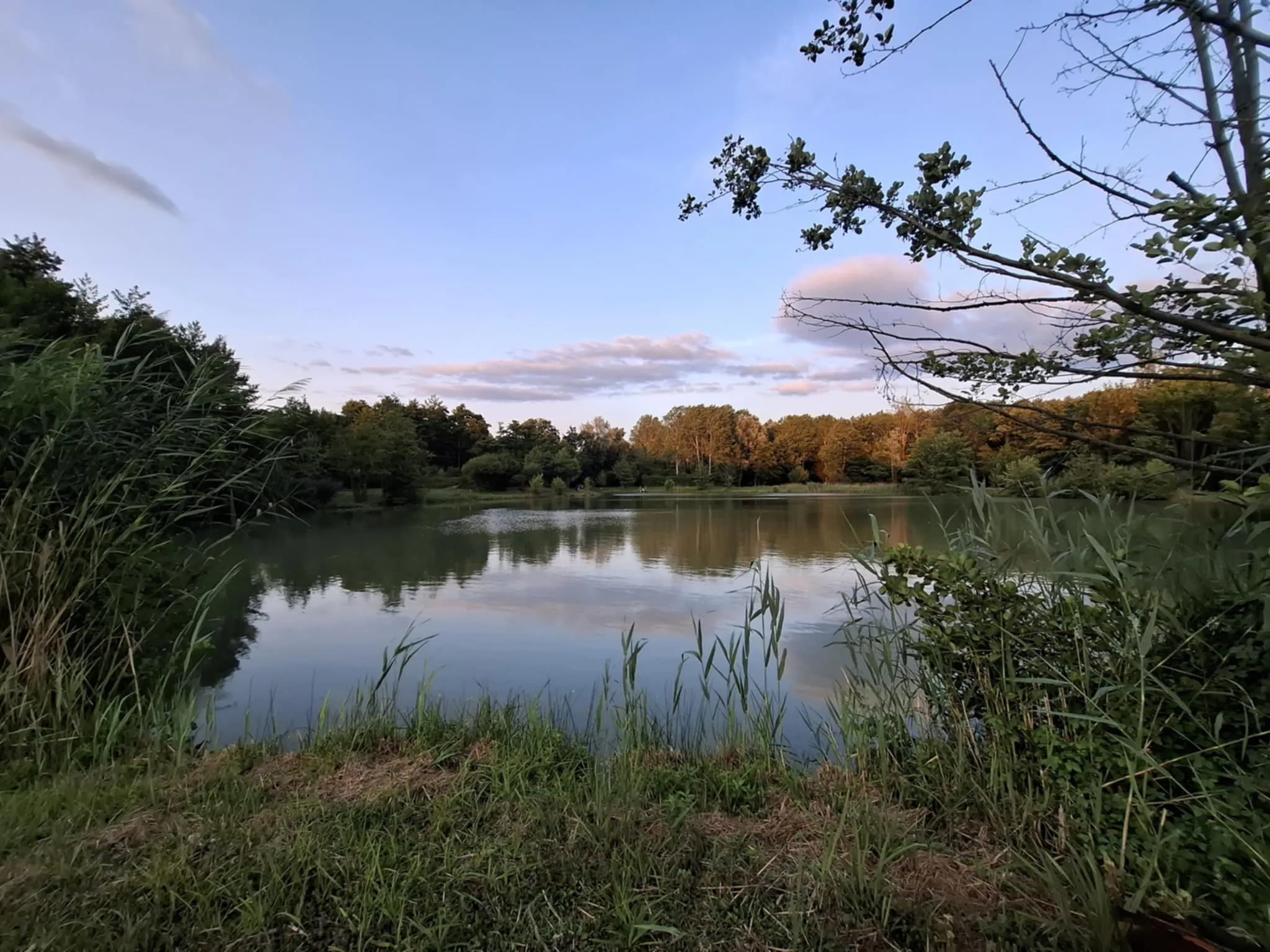 Chalet au bord d'un étang privé