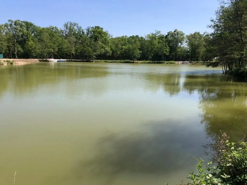 Une journée de pêche et de détente au bord de l’eau