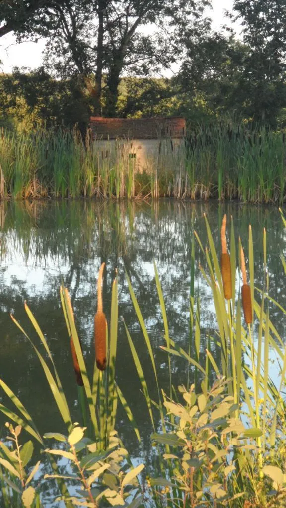 Gite trois personnes avec son étang privé