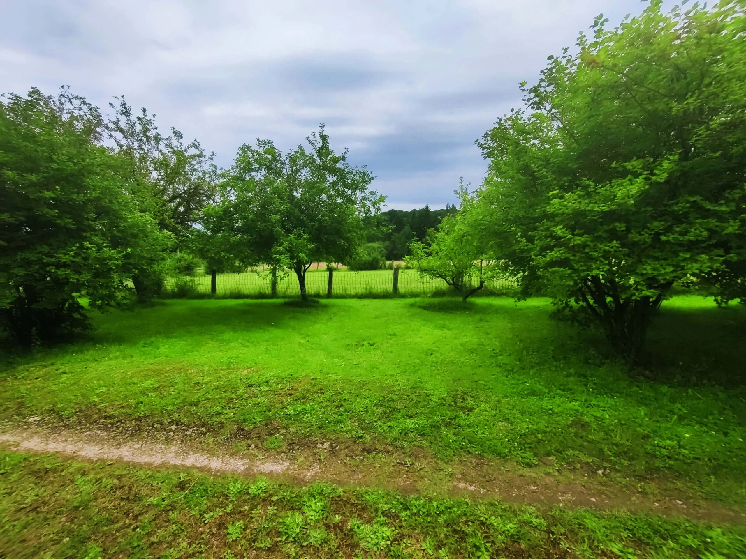 Location d’un étang de 1ha pour pêcher la carpe et camper