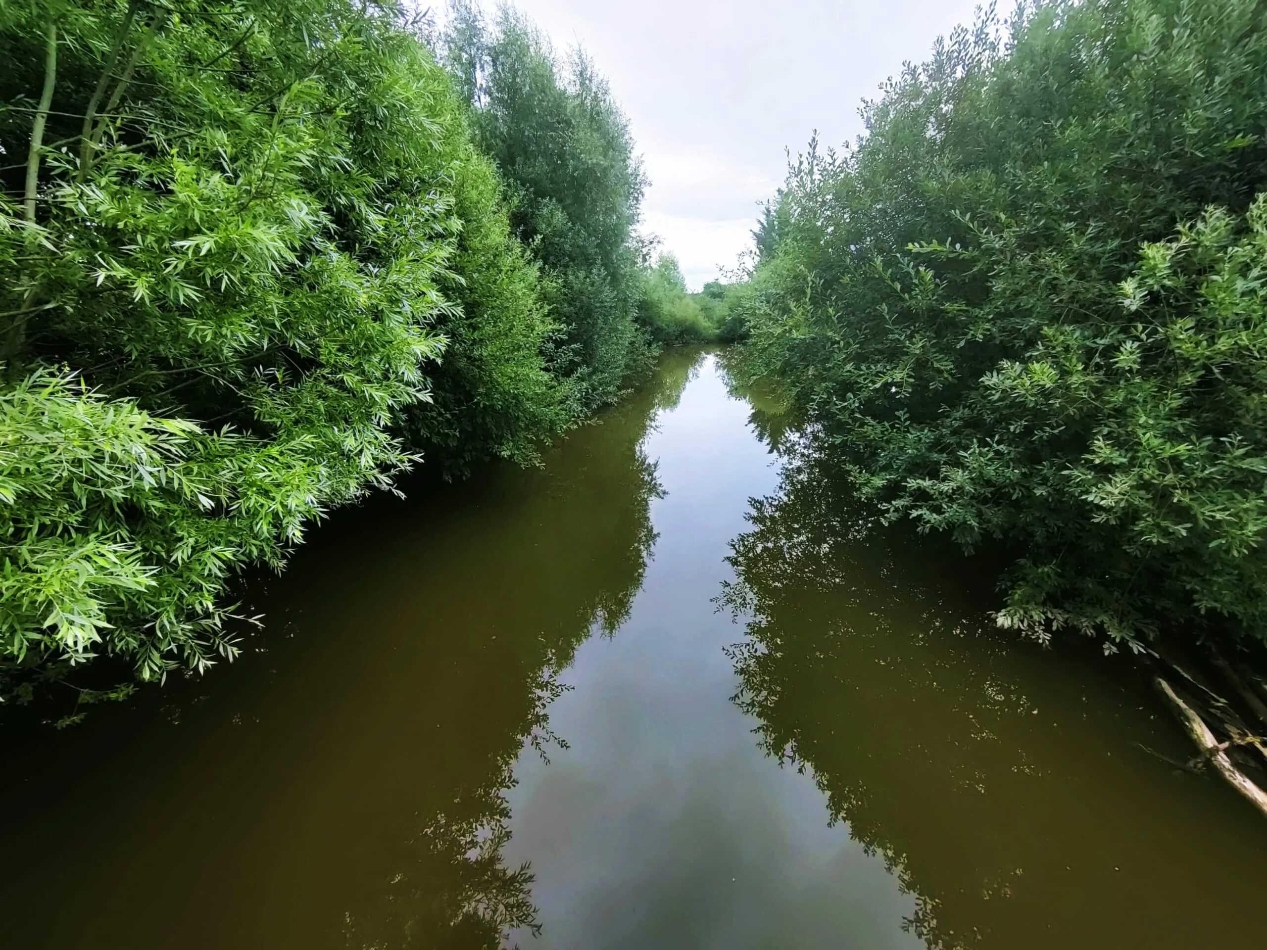 Location d’un étang de 1ha pour pêcher la carpe et camper