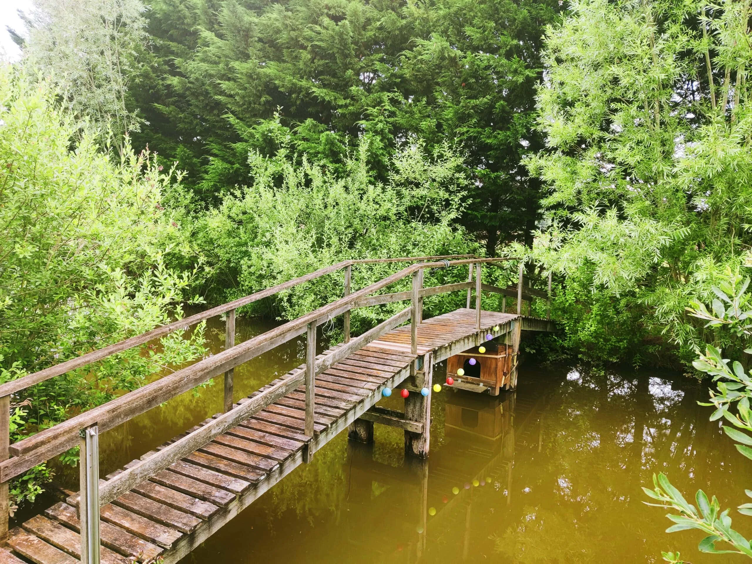 Location d’un étang de 1ha pour pêcher la carpe et camper