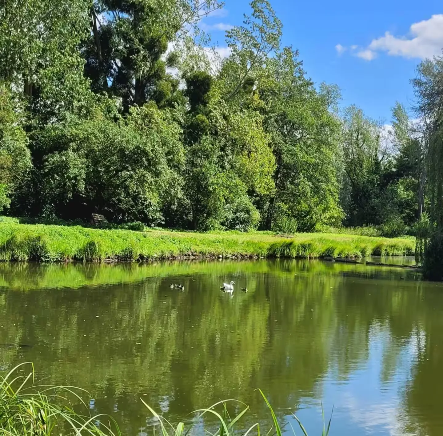 Chalet moderne pour 7 personnes avec étang dans l'Aisne
