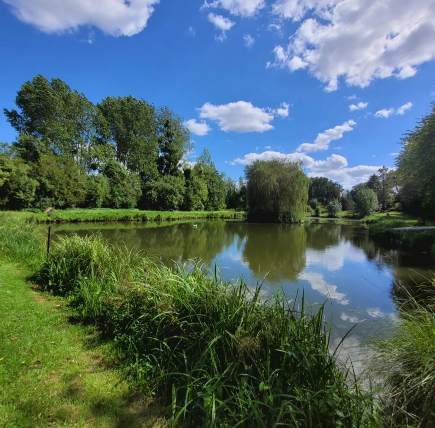 Chalet moderne pour 7 personnes avec étang dans l'Aisne