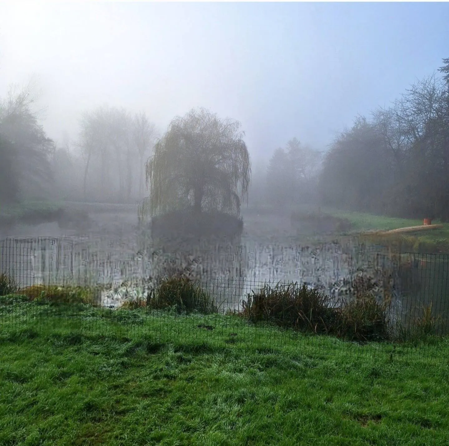 Chalet moderne pour 7 personnes avec étang dans l'Aisne