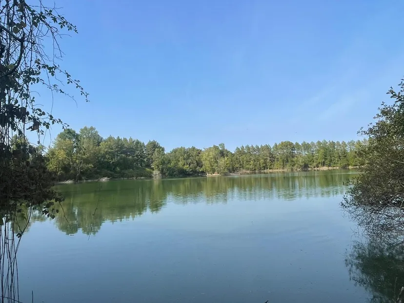 Holiday rental 20min from Mont de Marsan with a lake of 49.42 ac for fishing