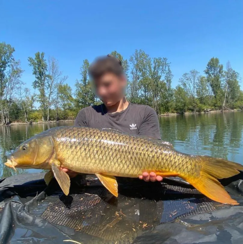 Holiday rental 20min from Mont de Marsan with a lake of 49.42 ac for fishing