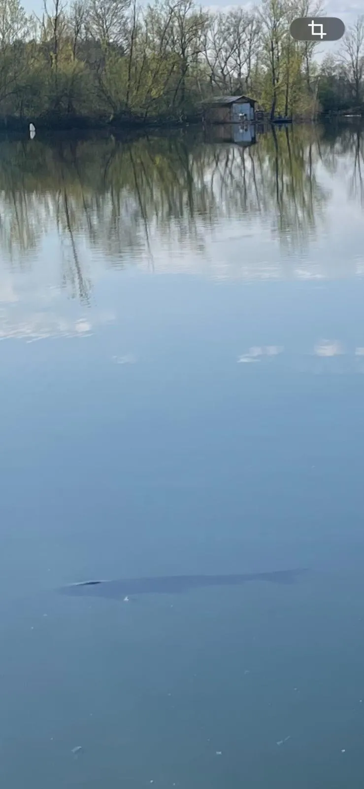 Holiday rental 20min from Mont de Marsan with a lake of 49.42 ac for fishing