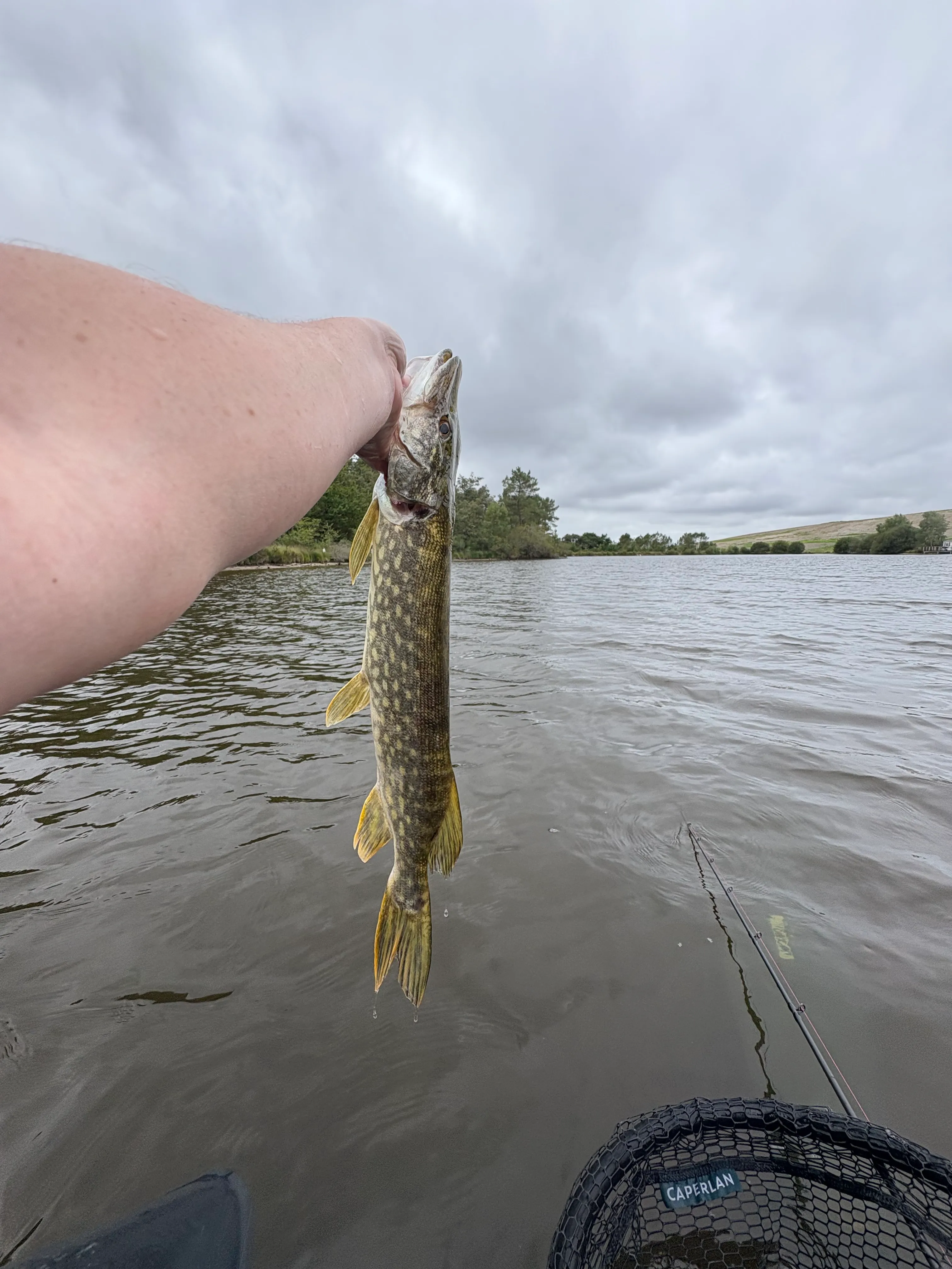 Étang de 3,5 ha avec mobile-home 6 personnes et de gros spécimens