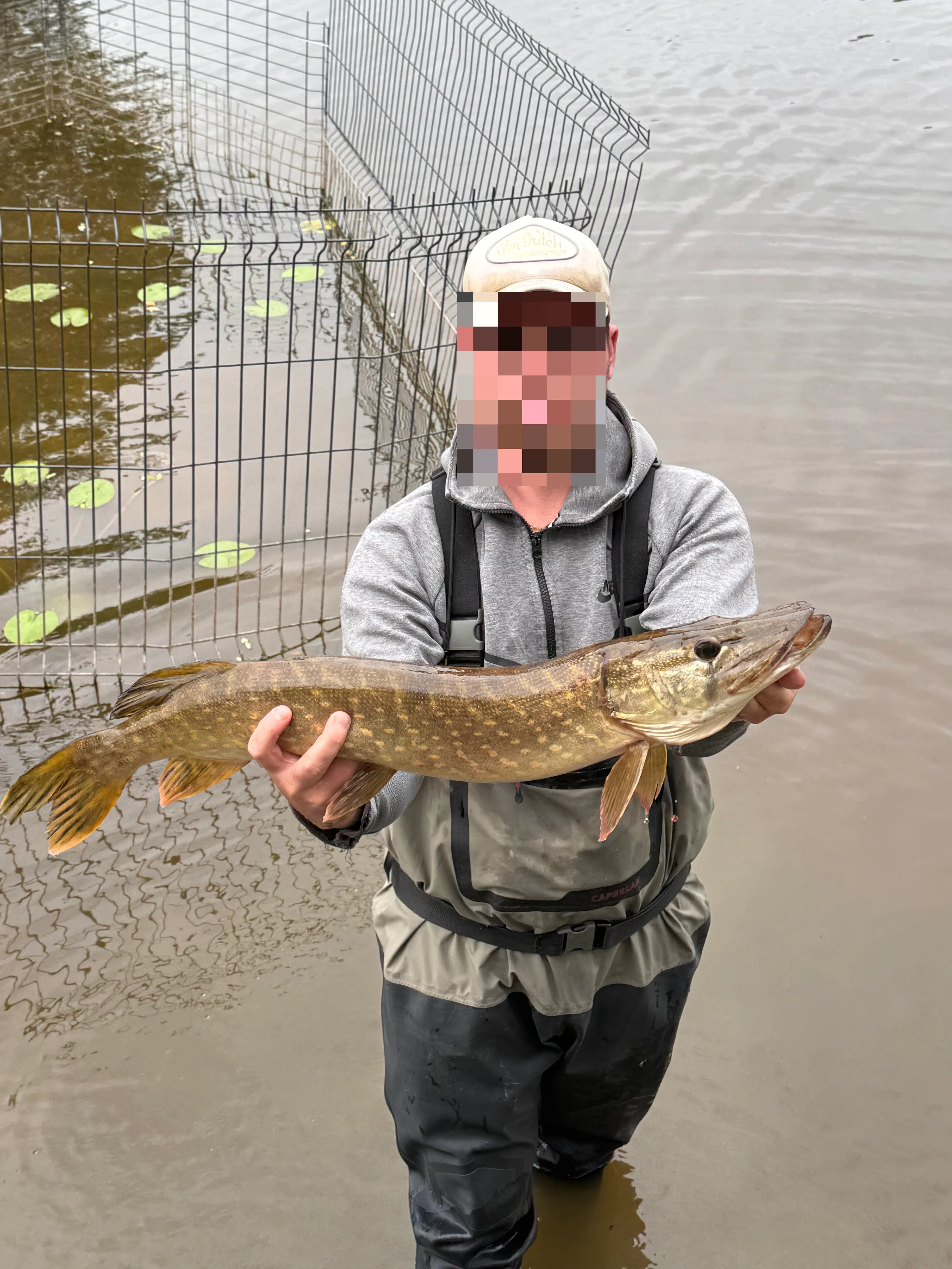 Étang de 3,5 ha avec mobile-home 6 personnes et de gros spécimens