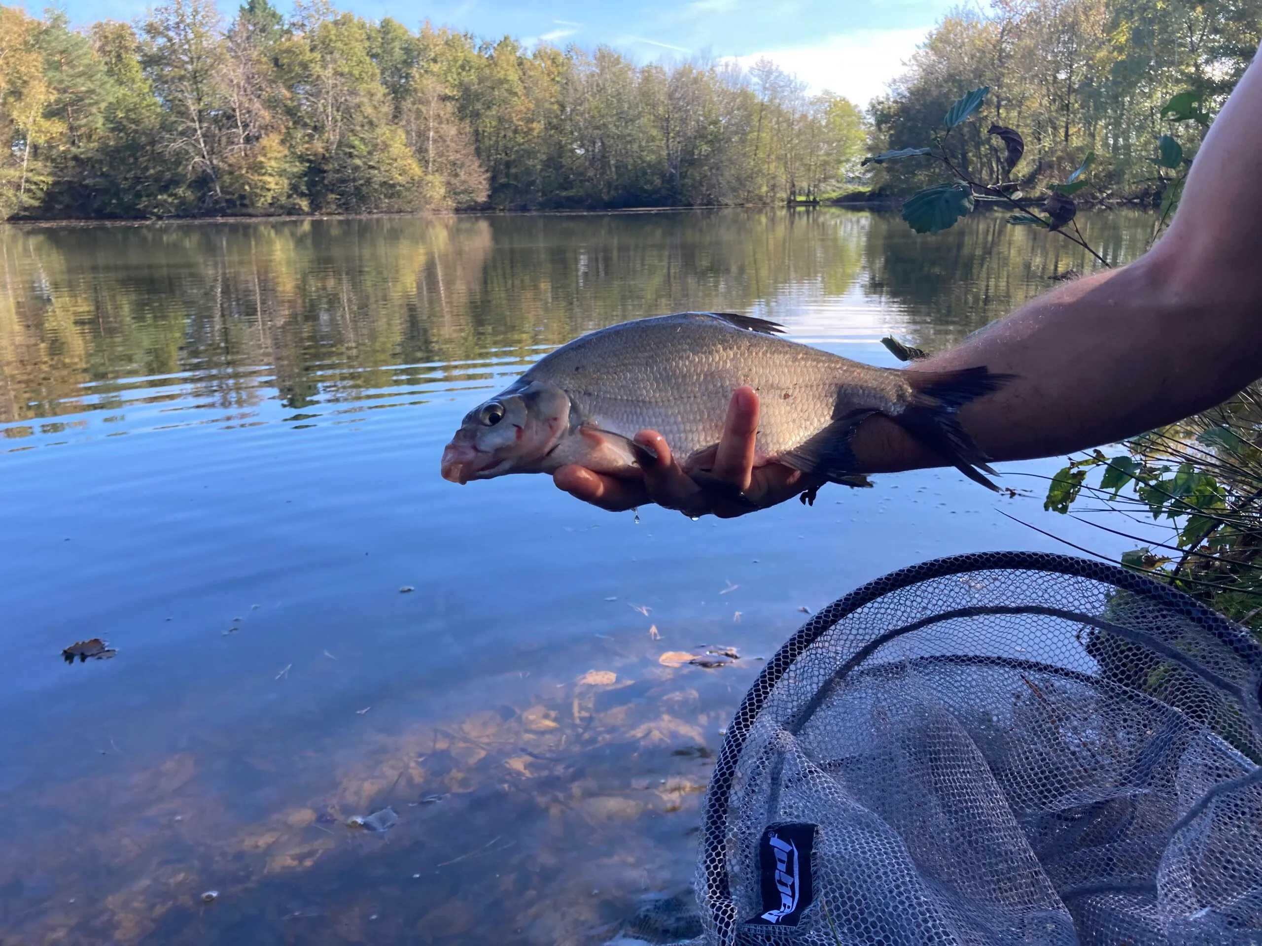 Joli chalet-terrasse avec son étang sauvage en Saône et Loire