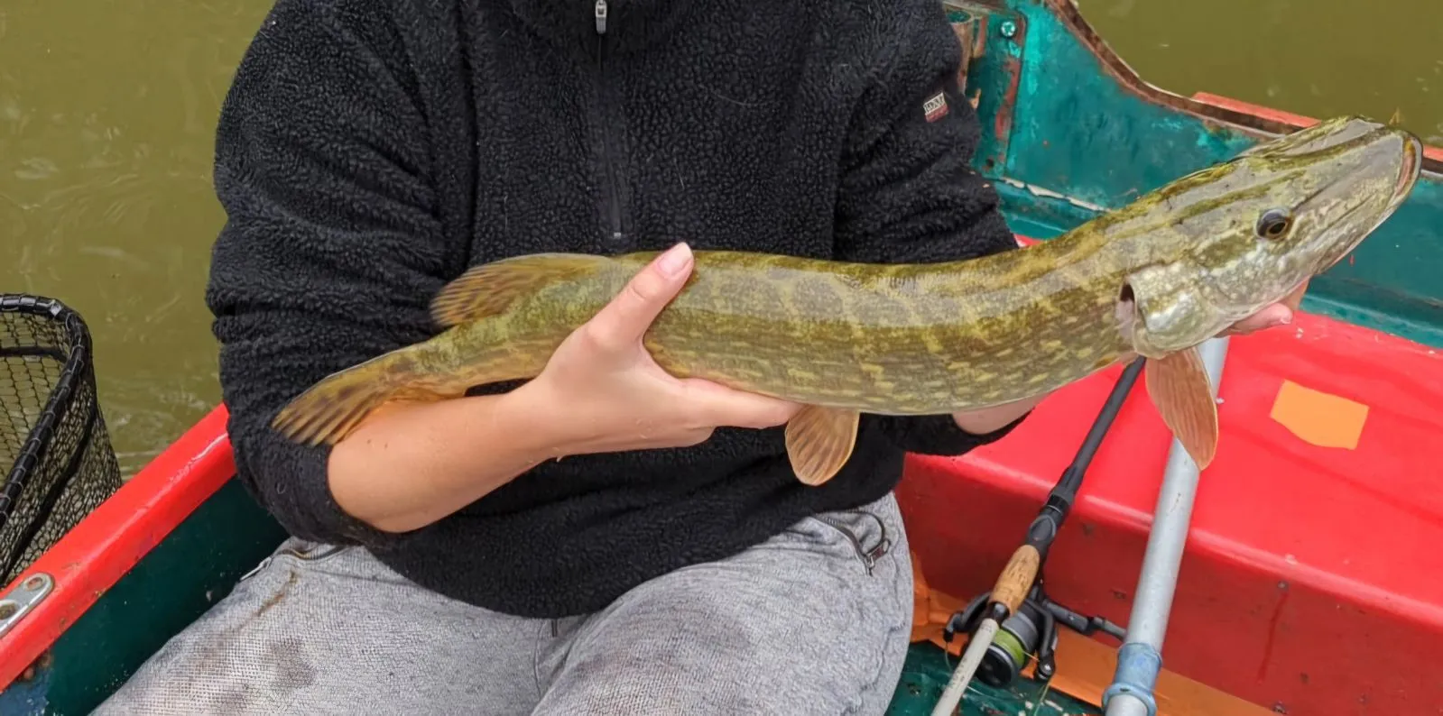 Joli chalet-terrasse avec son étang sauvage en Saône et Loire