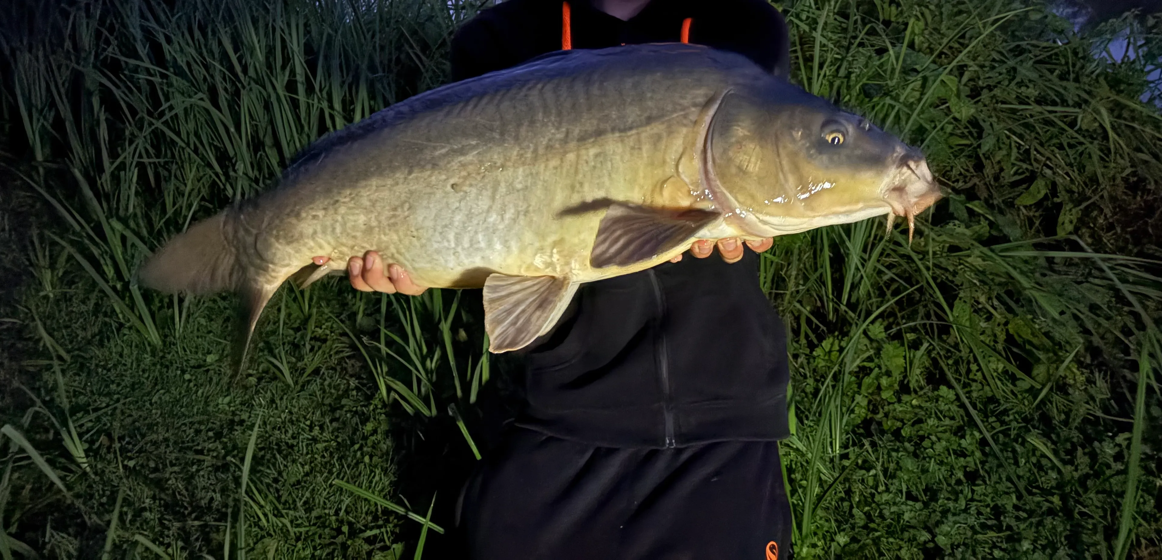 Recreational land with its fishing pond