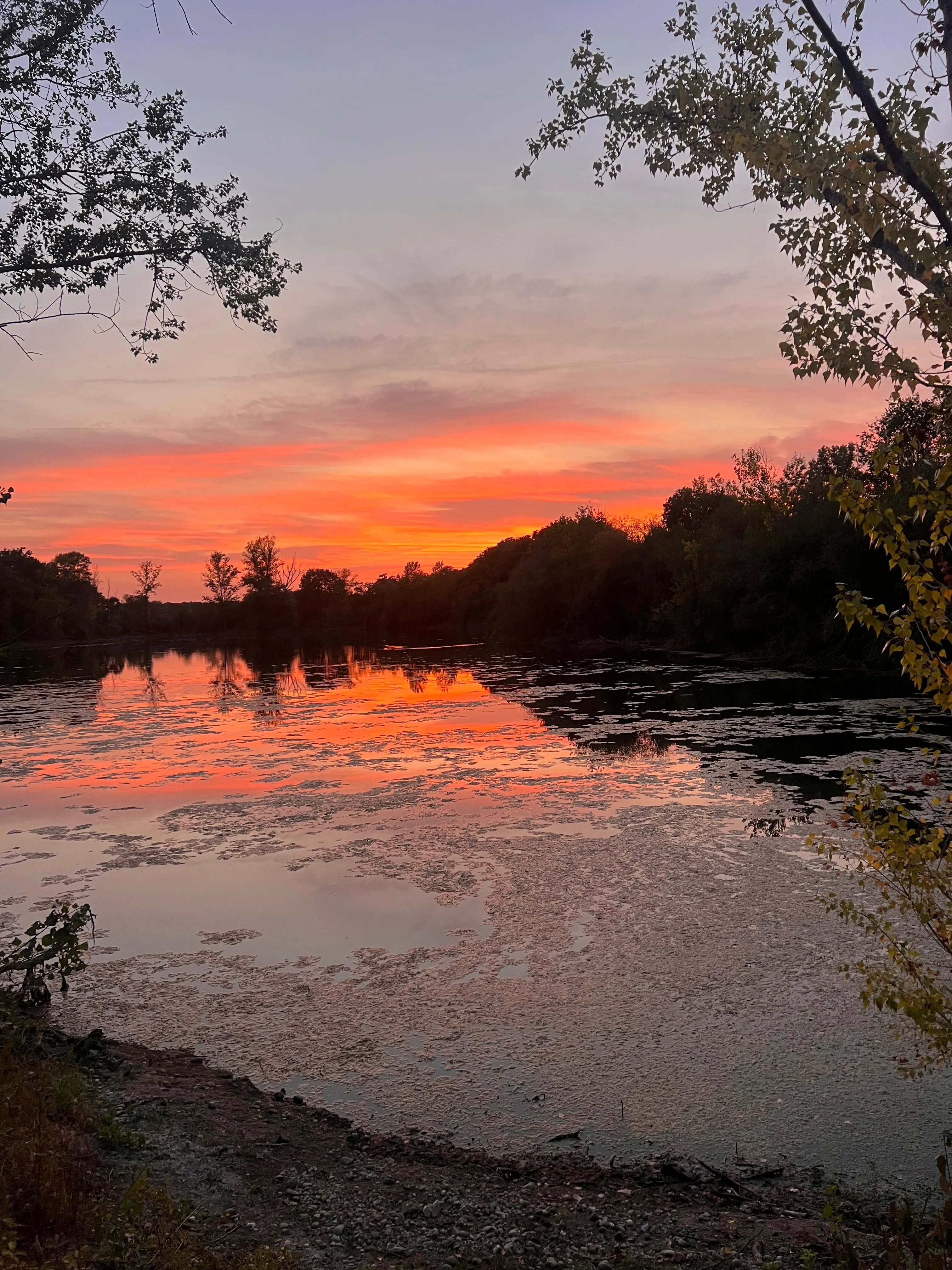 Ponds of 2x 7.41 ac for rent in the Landes with cottage by pond