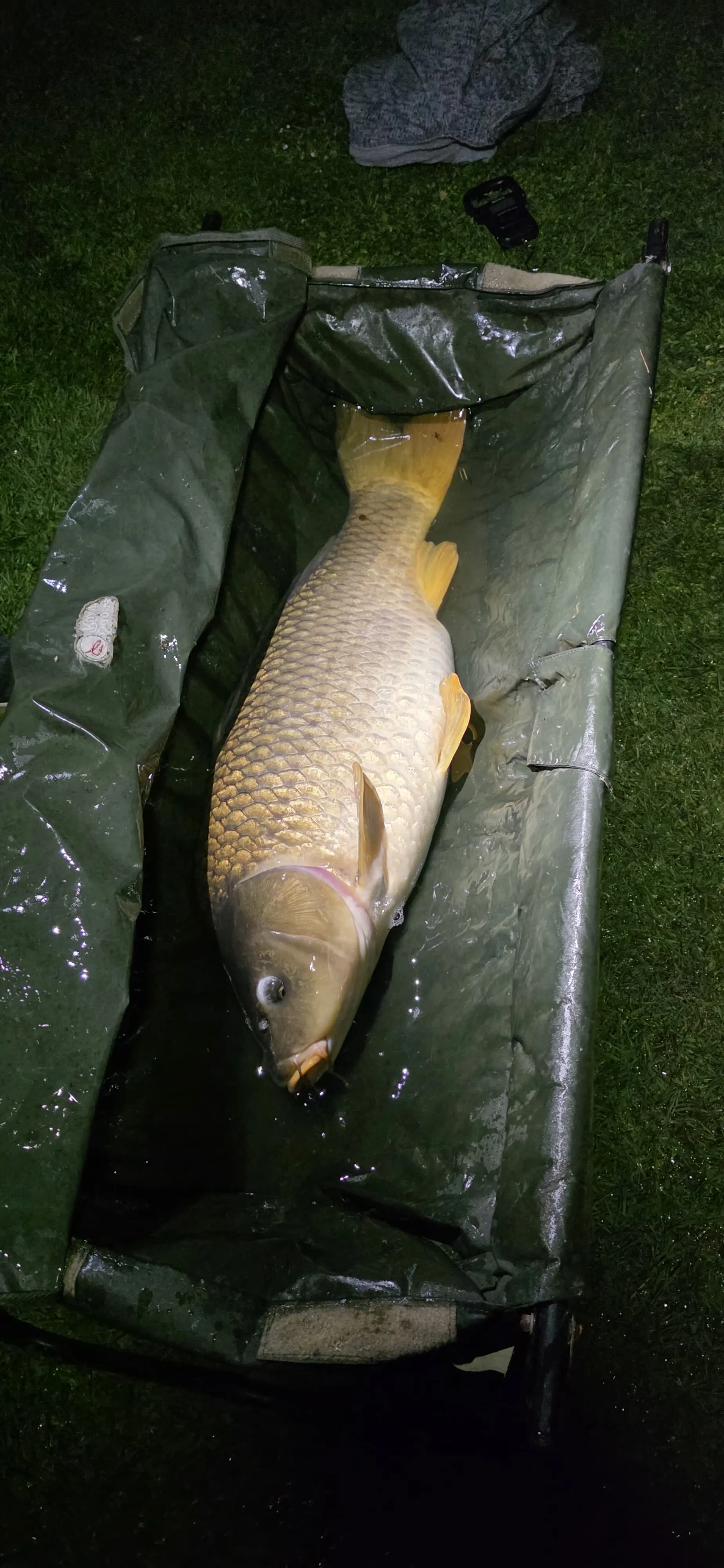 Gîte nature avec bain nordique et pêche no-kill
