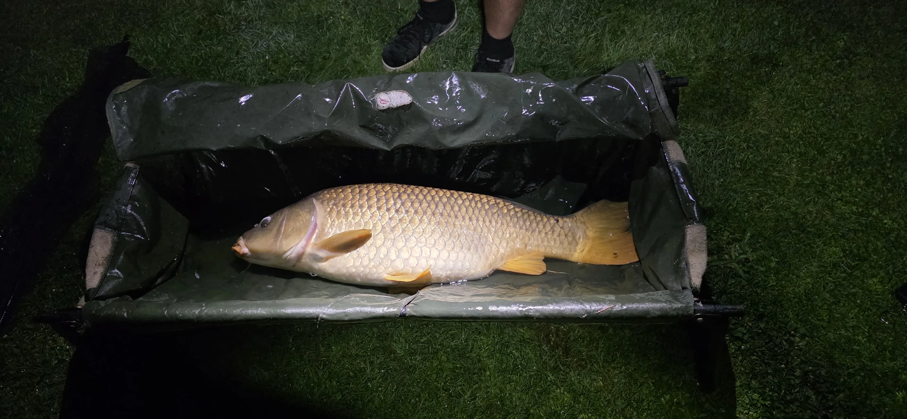 Gîte nature avec bain nordique et pêche no-kill