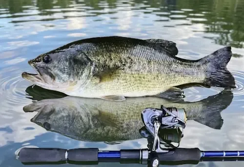 Bateau sur étang privé de 3 ha en Dordogne