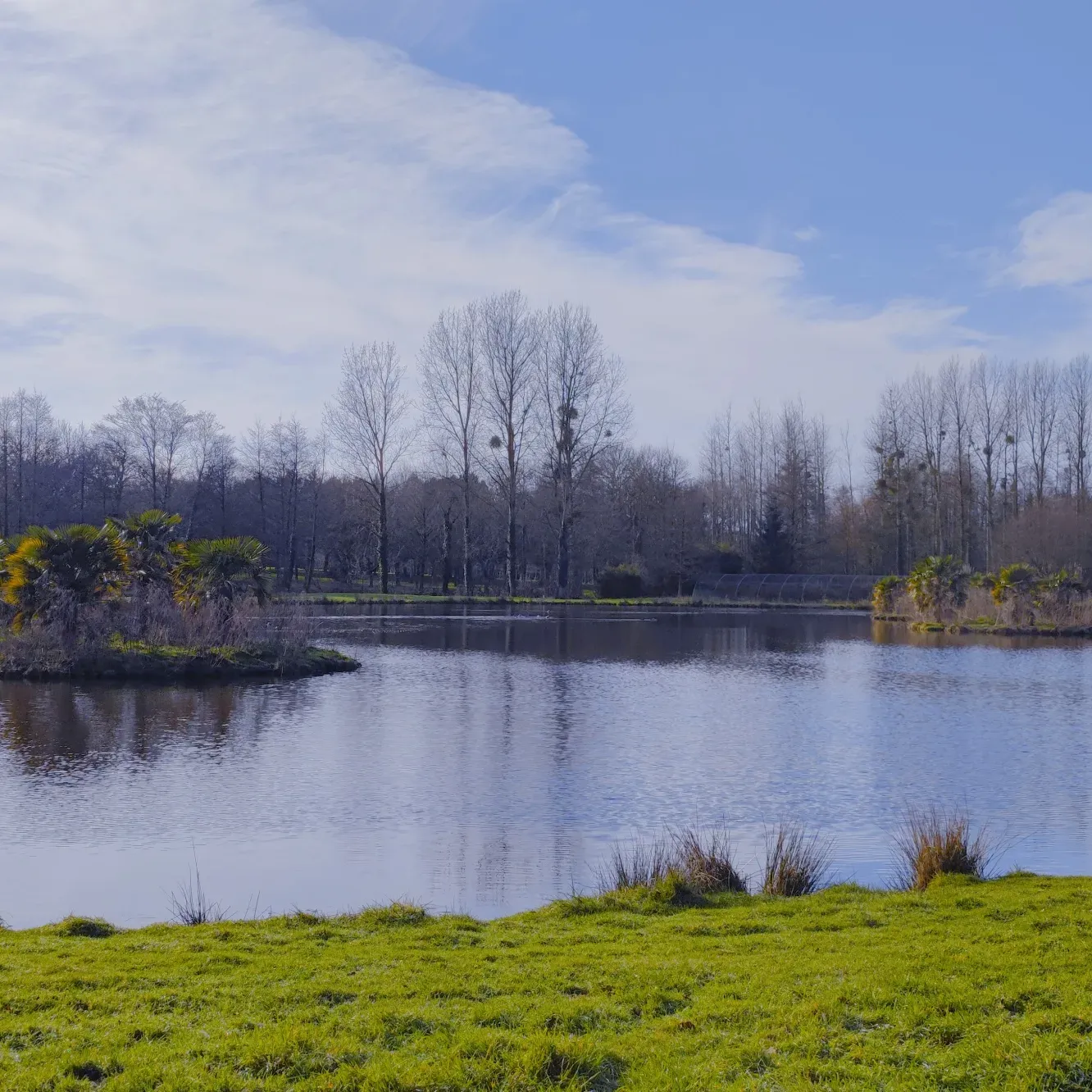 Cabane insolite au bord d’un étang