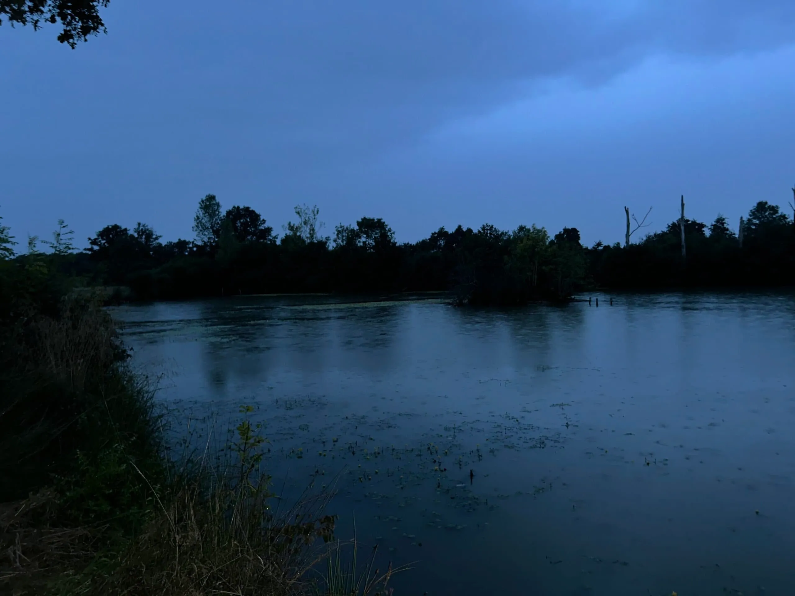 Etang à louer en Indre - la nature avec 1ha d'eau