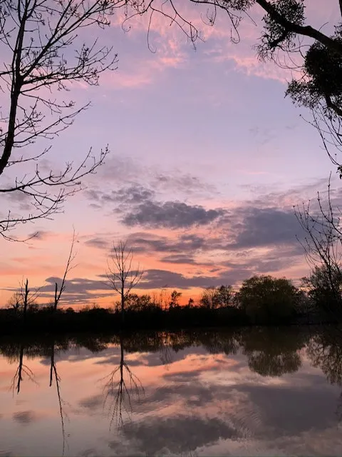 Etang à louer en Indre - la nature avec 1ha d'eau