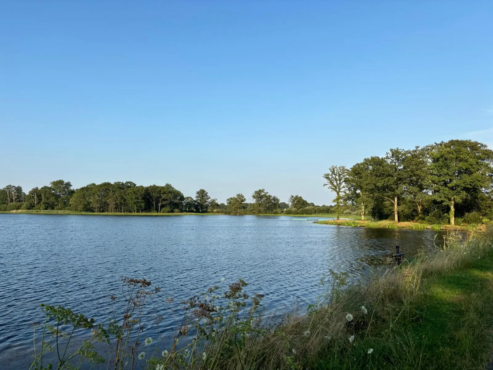 Pêche aux carnassiers superbe étang de 26ha au bord d’un château