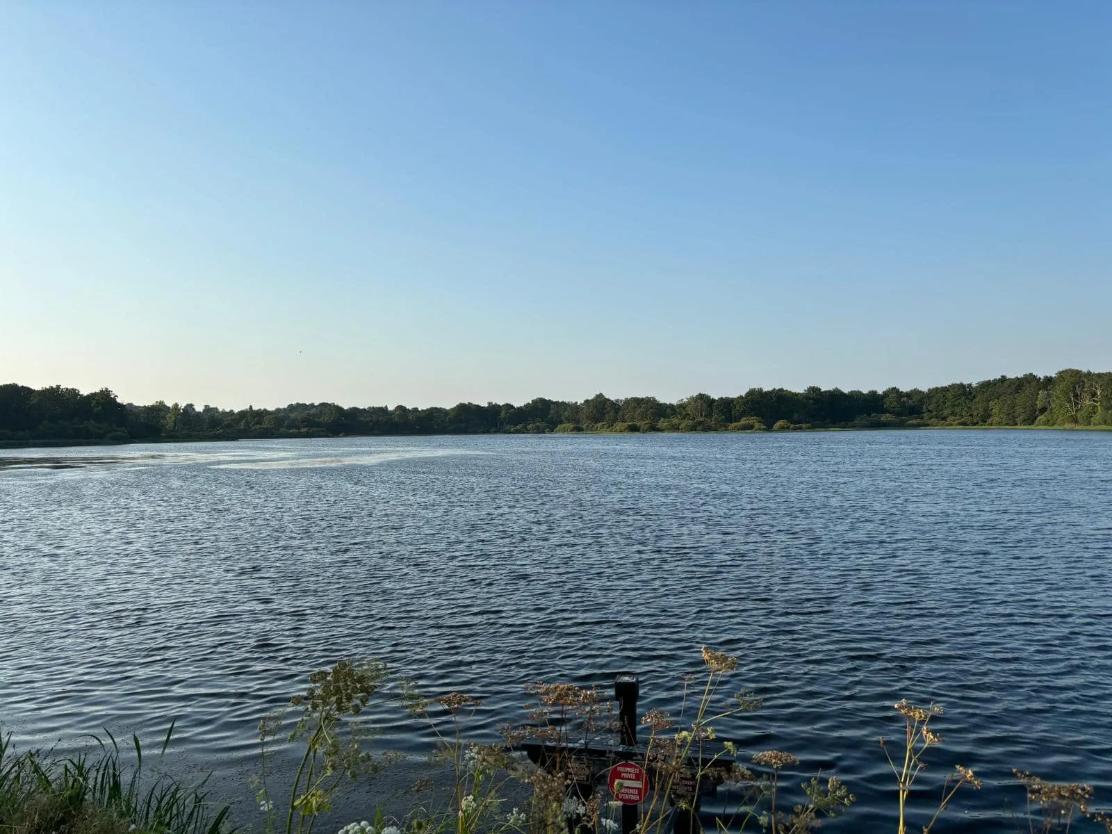 Pêche aux carnassiers superbe étang de 26ha au bord d’un château