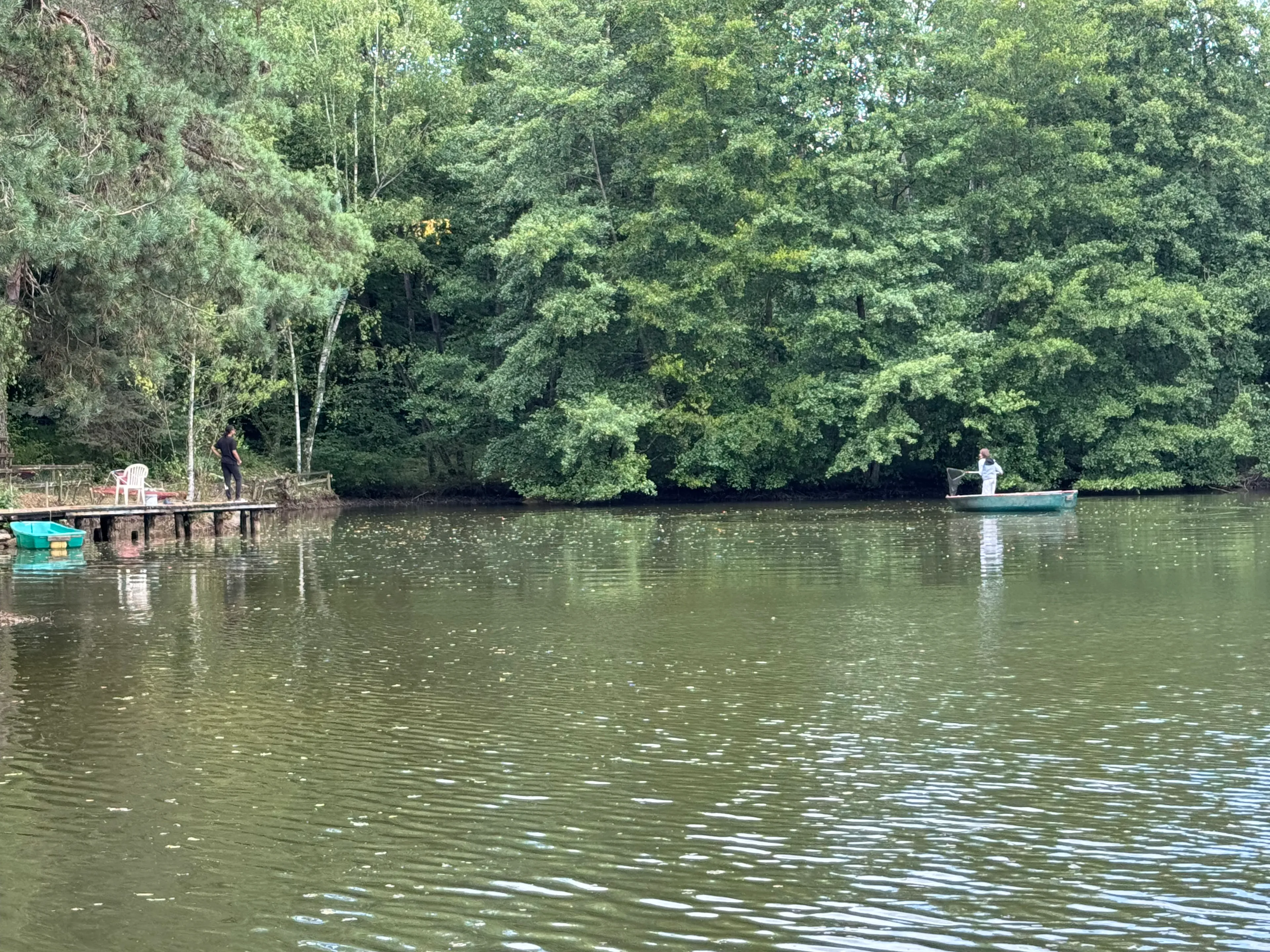 Joli chalet-terrasse avec son étang sauvage en Saône et Loire