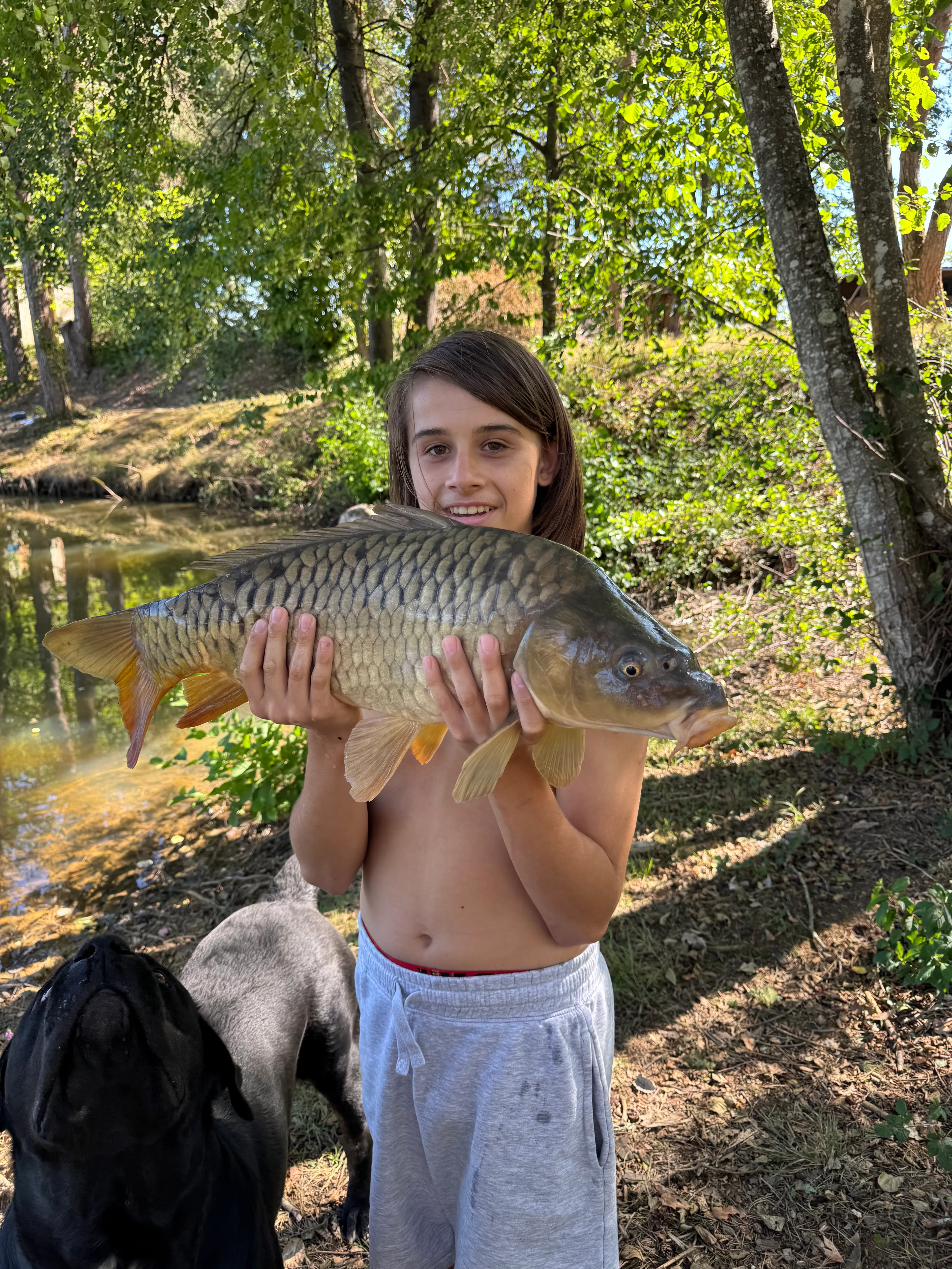Joli chalet-terrasse avec son étang sauvage en Saône et Loire