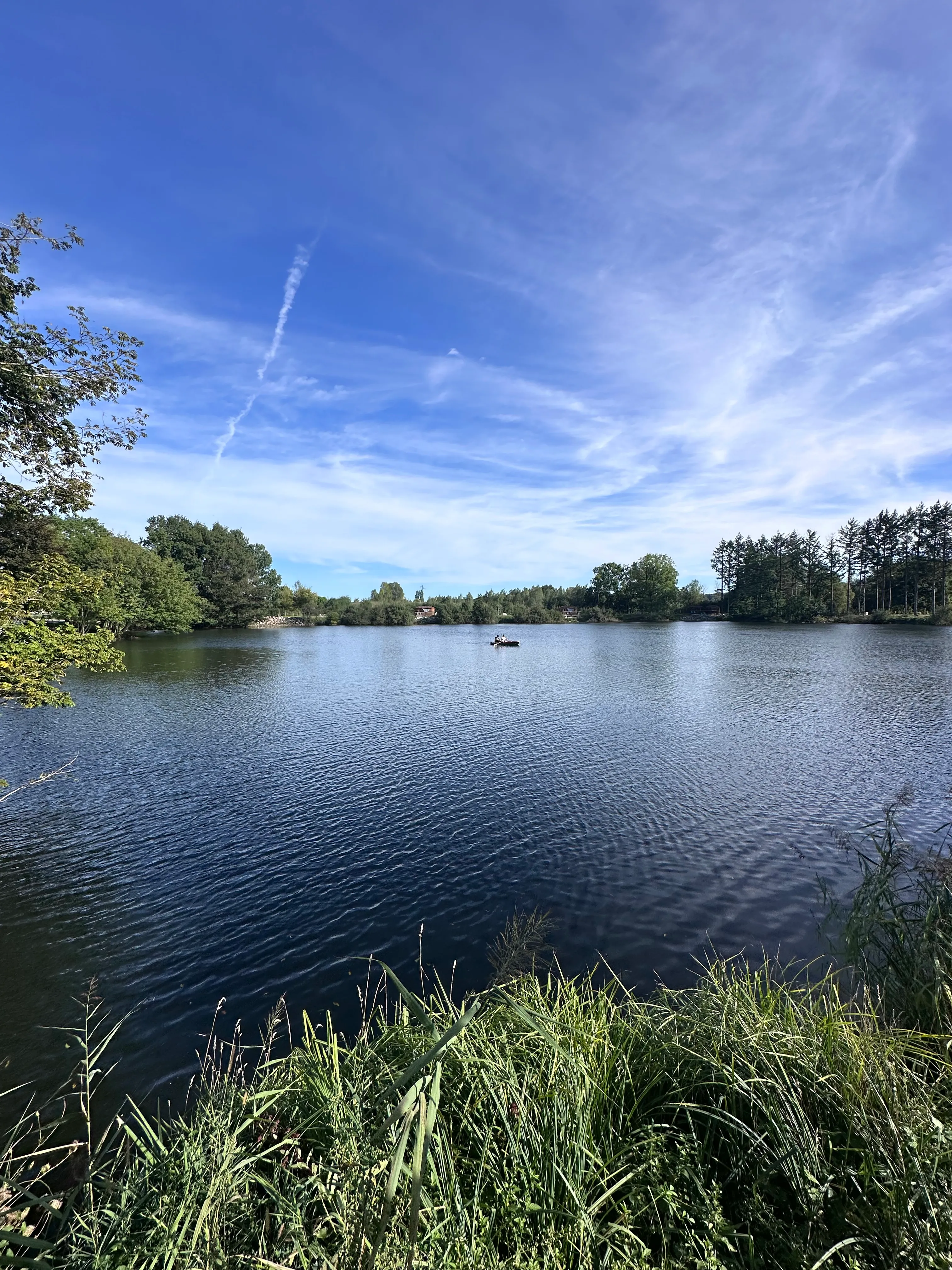 Chalet, tiny house & sauna au bord d’un étang privé de 3 ha