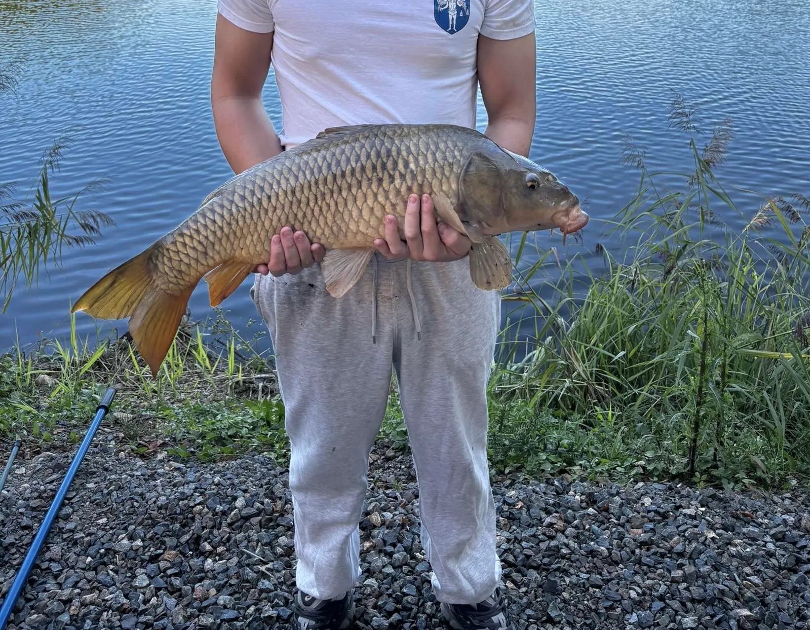 Chalet, tiny house & sauna au bord d’un étang privé de 3 ha