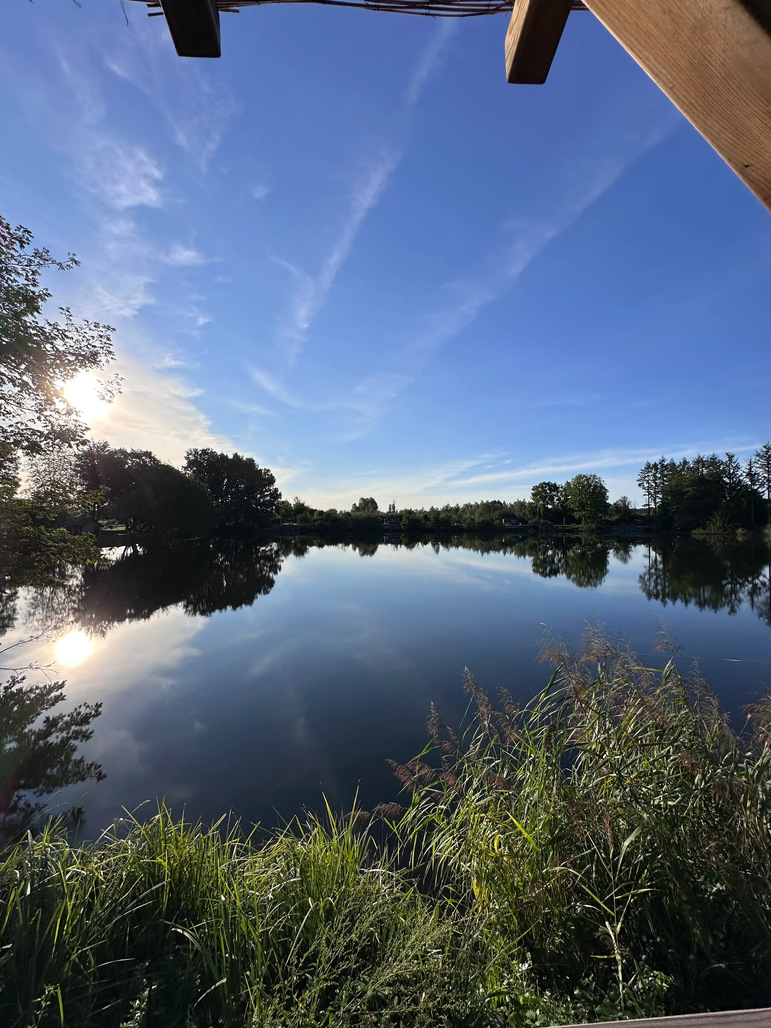 Chalet, tiny house & sauna au bord d’un étang privé de 3 ha