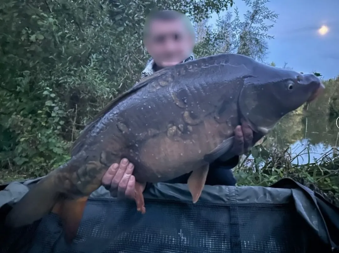 Mobile home rental with private pond and pool next to Paris or Troyes - Cast